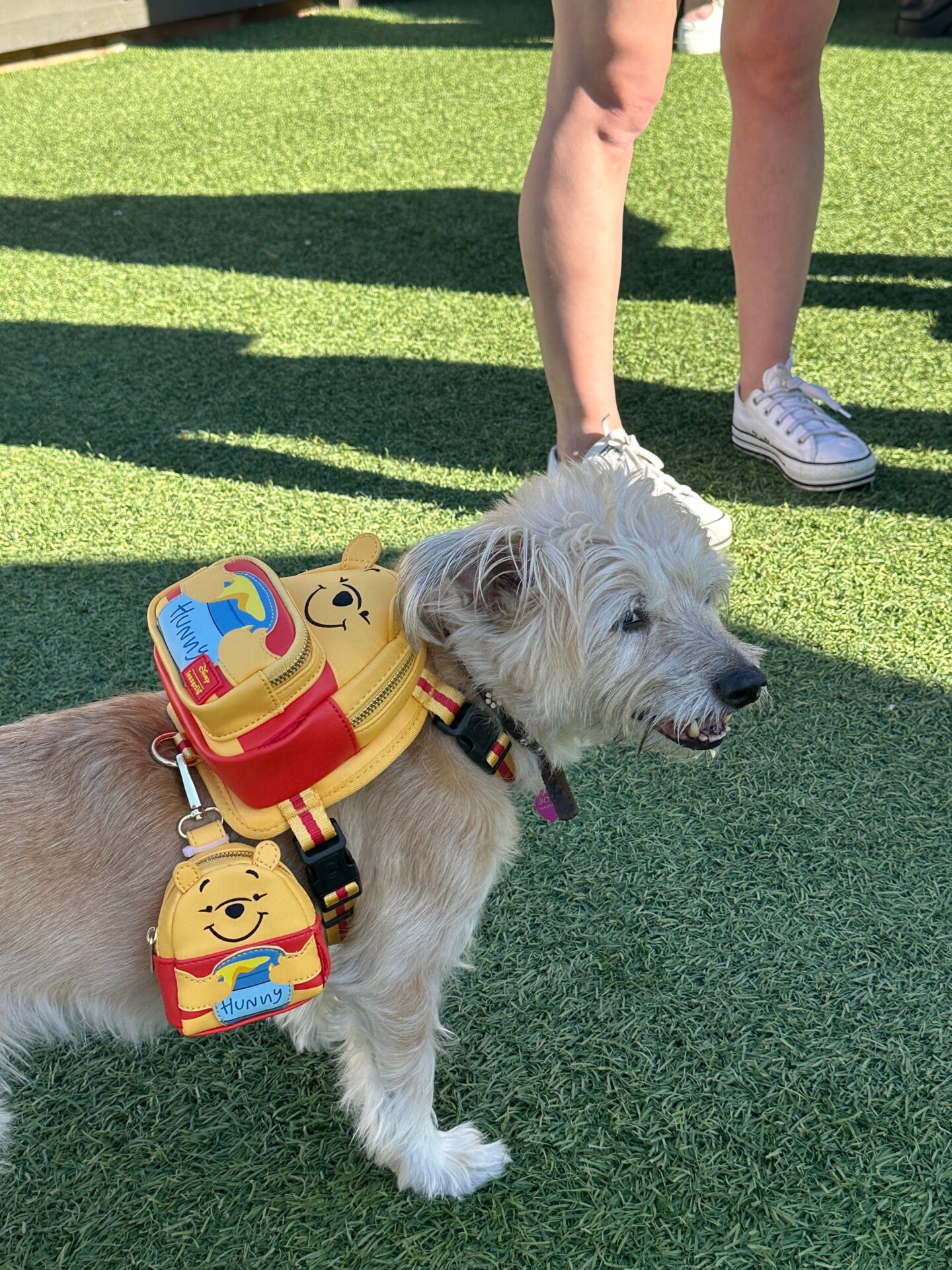 Photo: Sabina Graves/Gizmodo