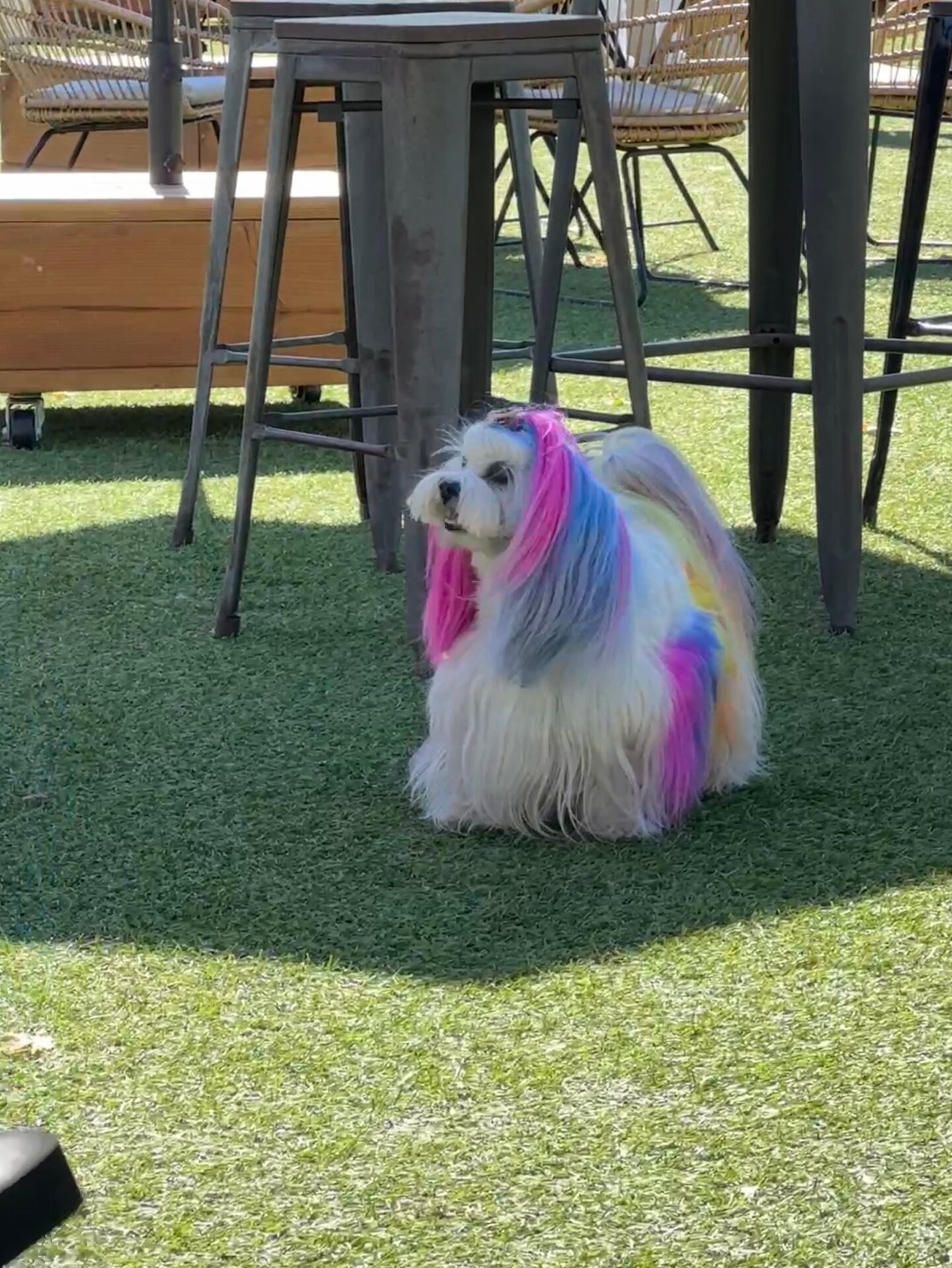 Photo: Sabina Graves/Gizmodo