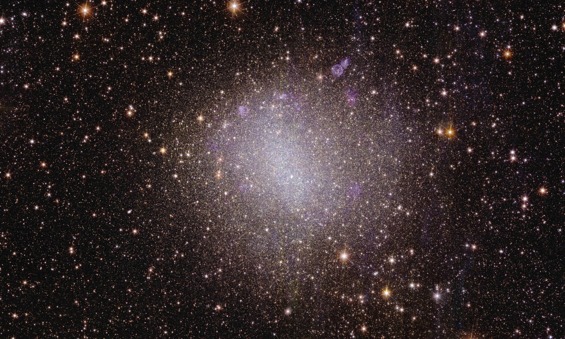 Image: ESA/Euclid/Euclid Consortium/NASA, image processing by J.-C. Cuillandre (CEA Paris-Saclay), G. Anselmi