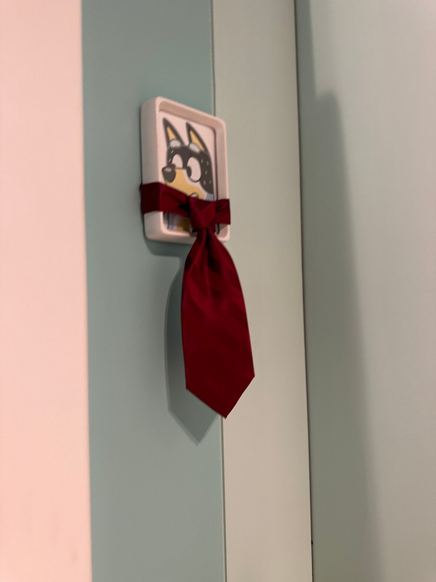 Photo: Sabina Graves/Gizmodo