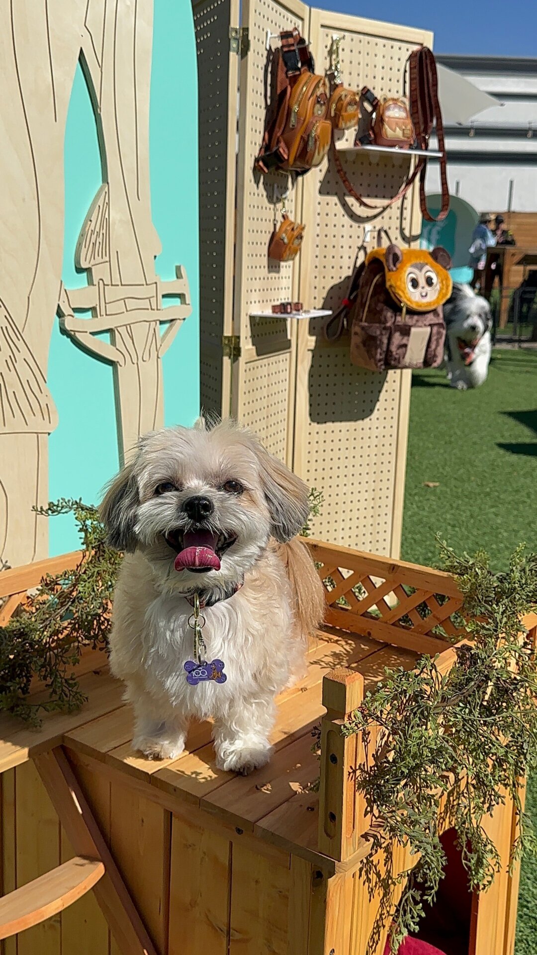 Photo: Sabina Graves/Gizmodo