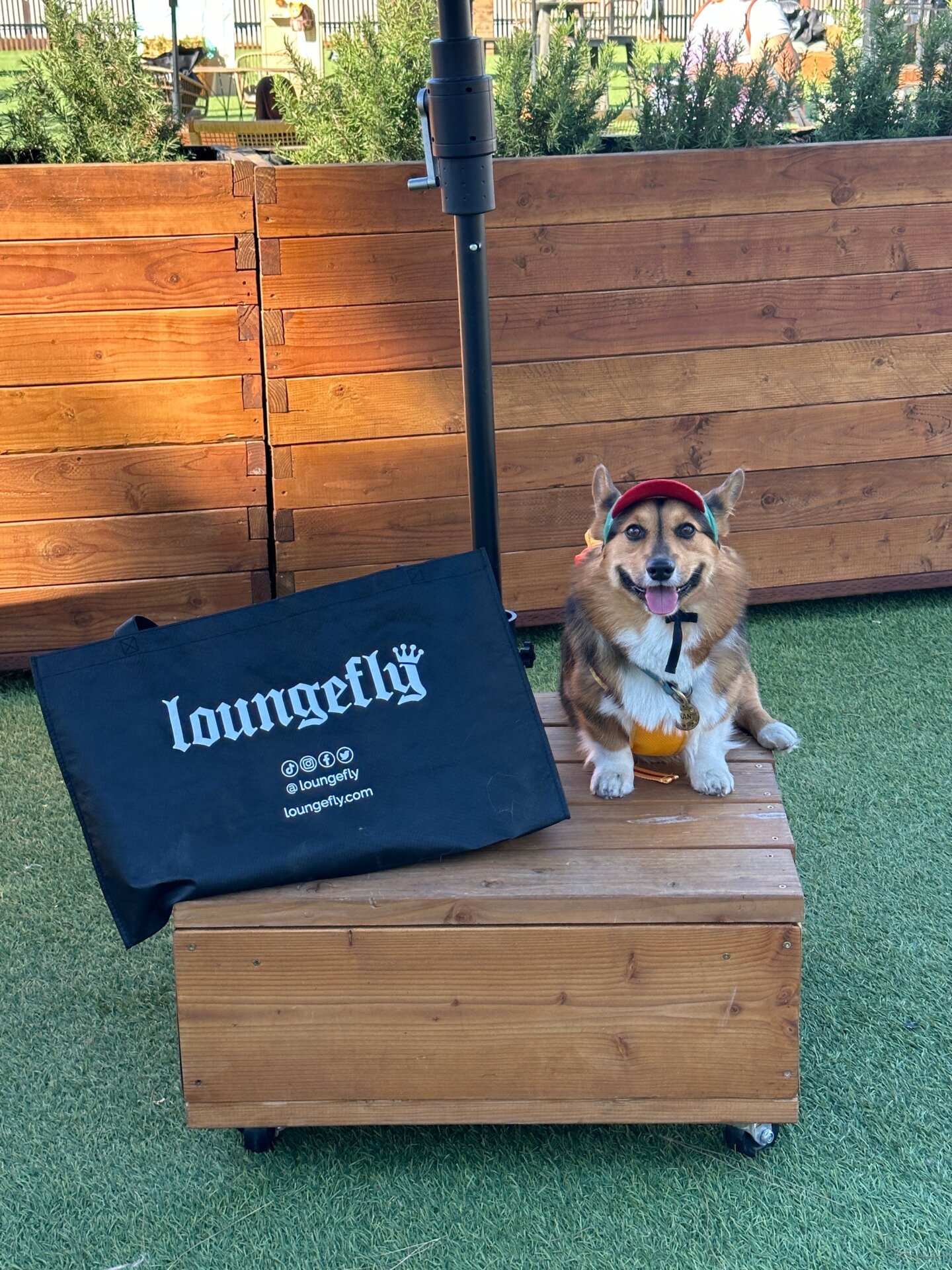 Photo: Sabina Graves/Gizmodo