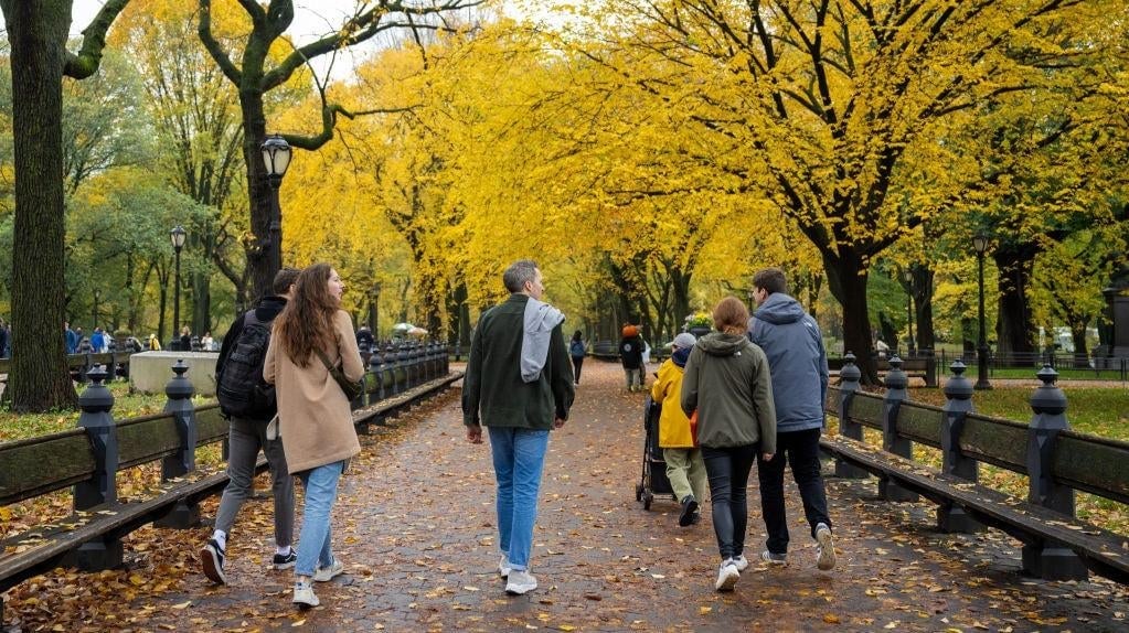 30 DE OCTUBRE: La gente da un paseo mientras las hojas de los árboles cambian los colores de la temporada de otoño en Central Park en Nueva York, Estados Unidos  el 30 de octubre de 2023.