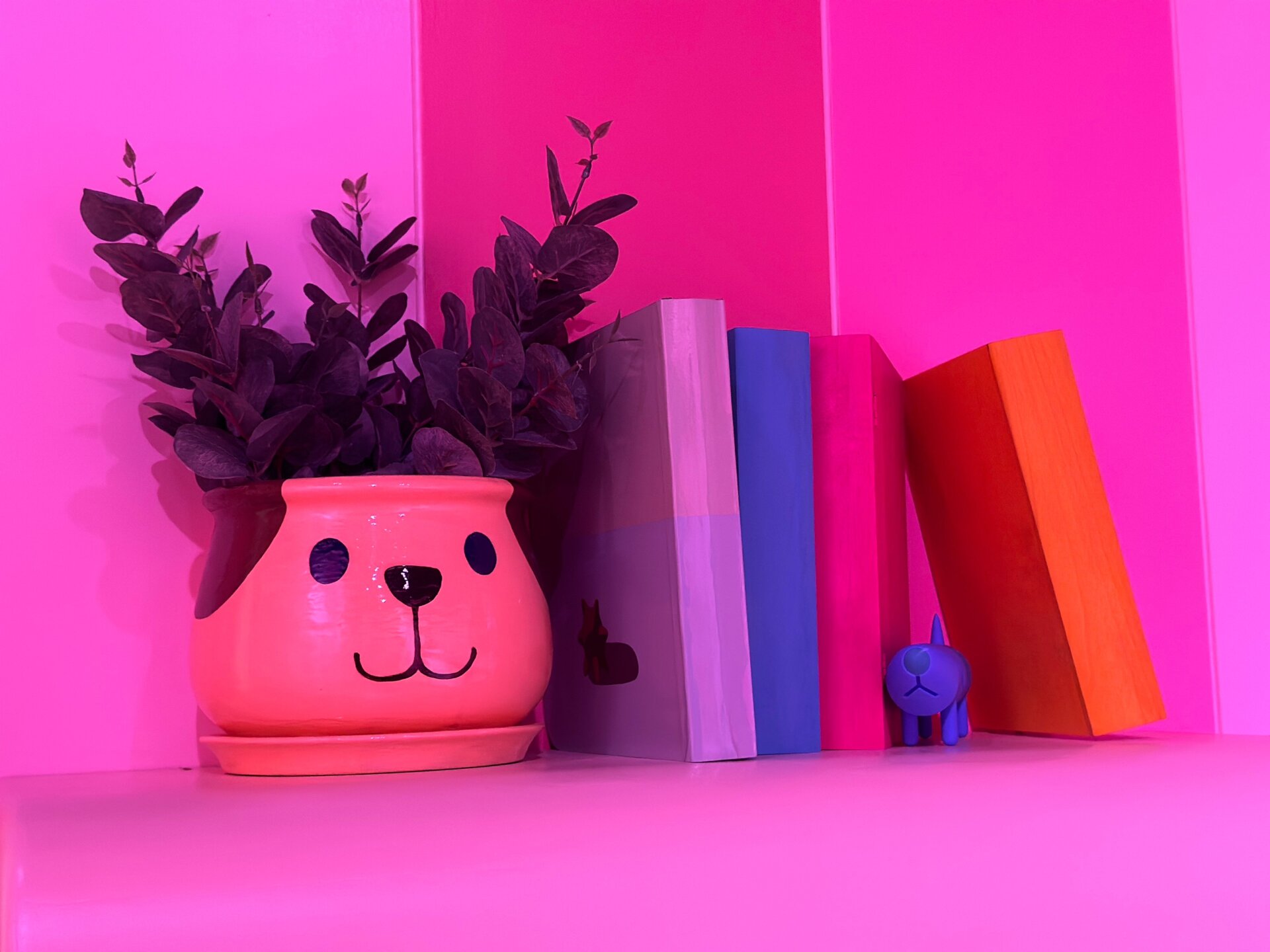 Photo: Sabina Graves/Gizmodo