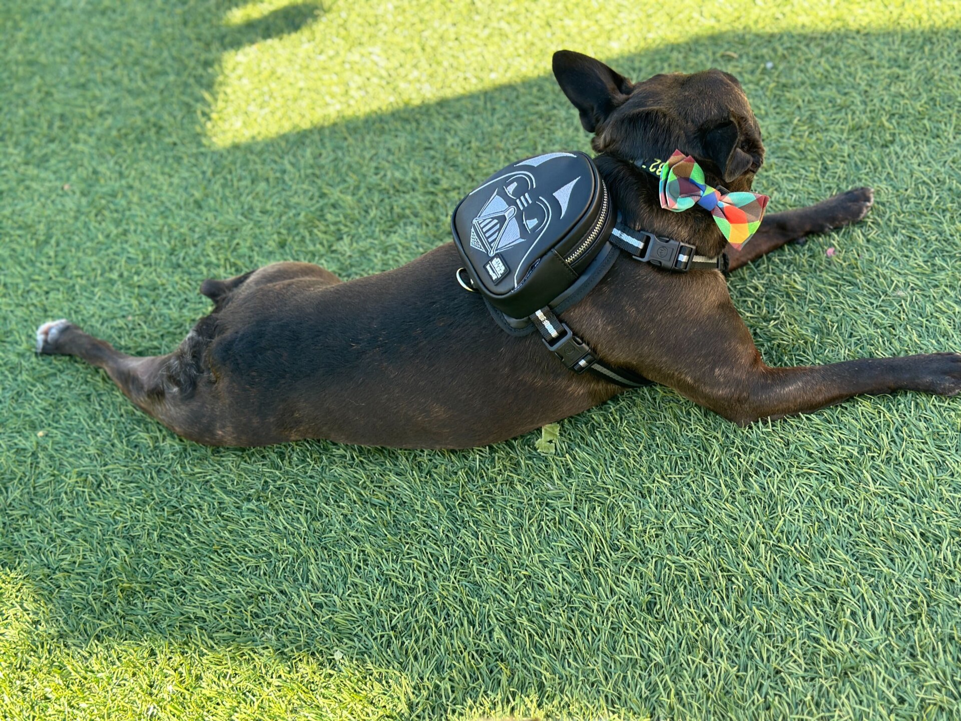 Photo: Sabina Graves/Gizmodo