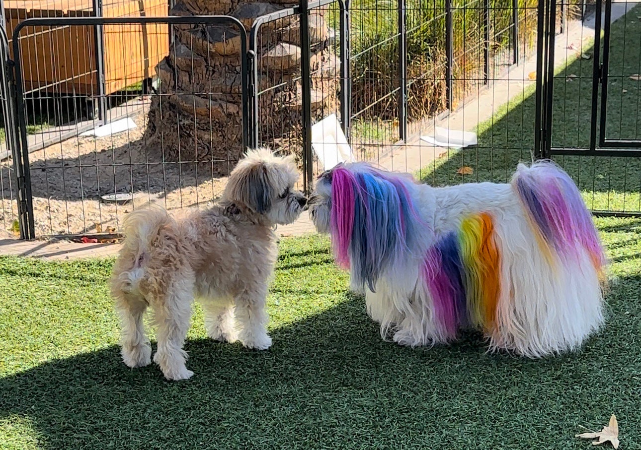 Photo: Sabina Graves/Gizmodo