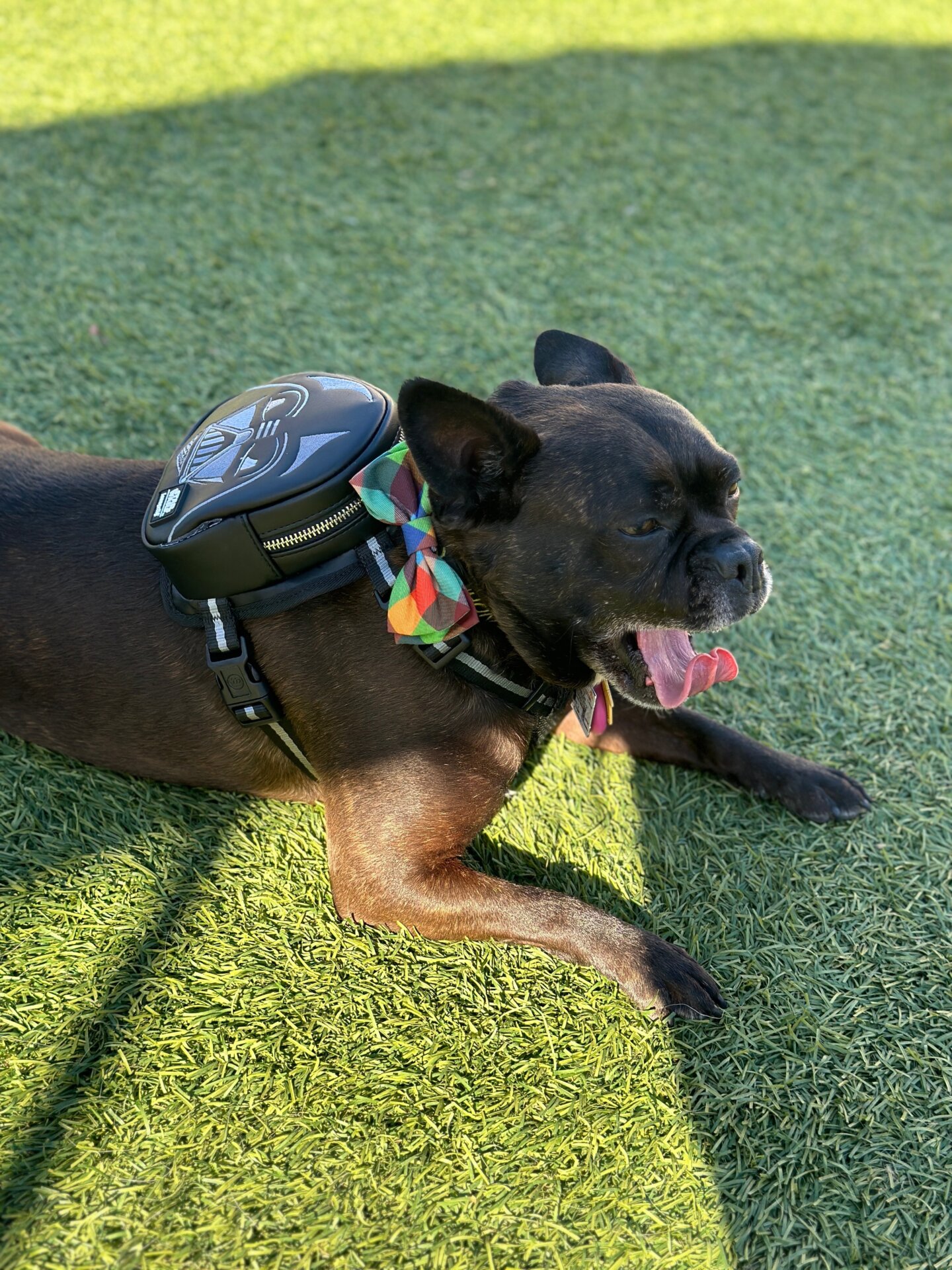 Photo: Sabina Graves/Gizmodo