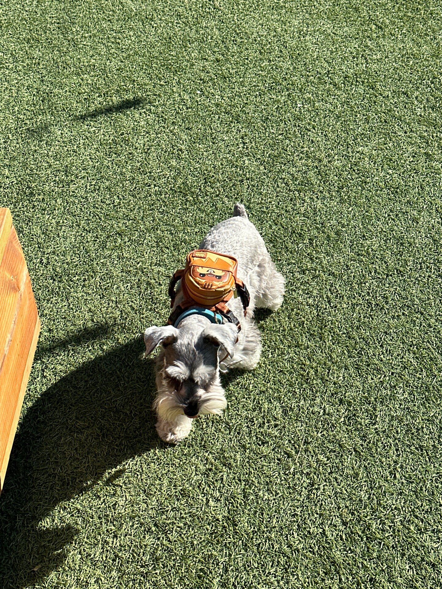 Photo: Sabina Graves/Gizmodo