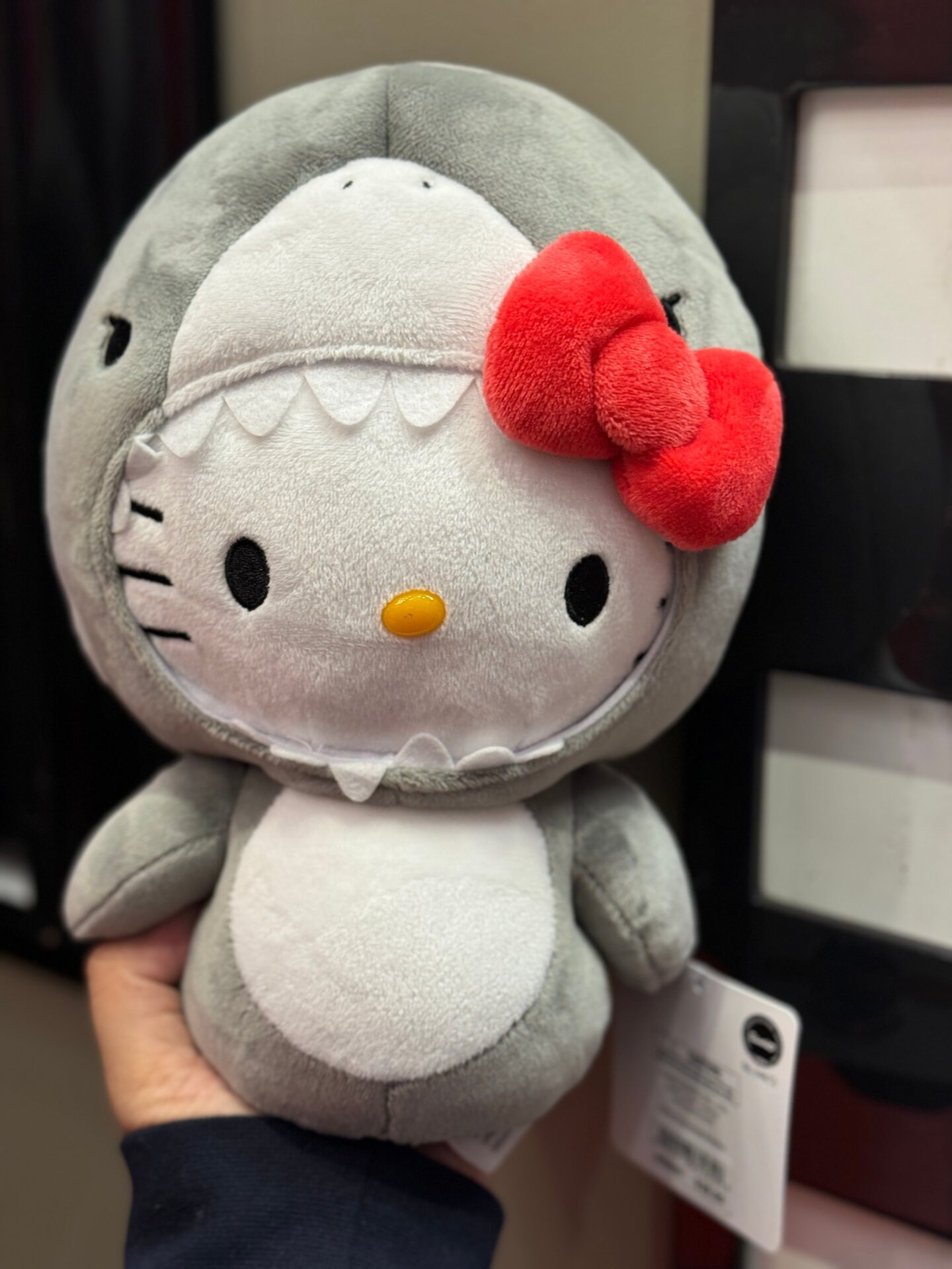 Photo: Sabina Graves/Gizmodo