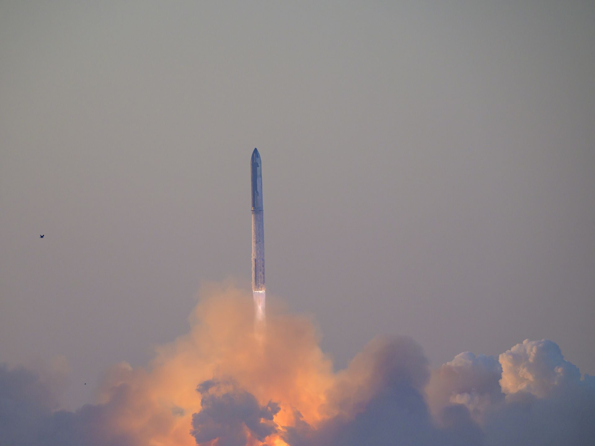 Starship poco después del lanzamiento, 18 de noviembre de 2023.