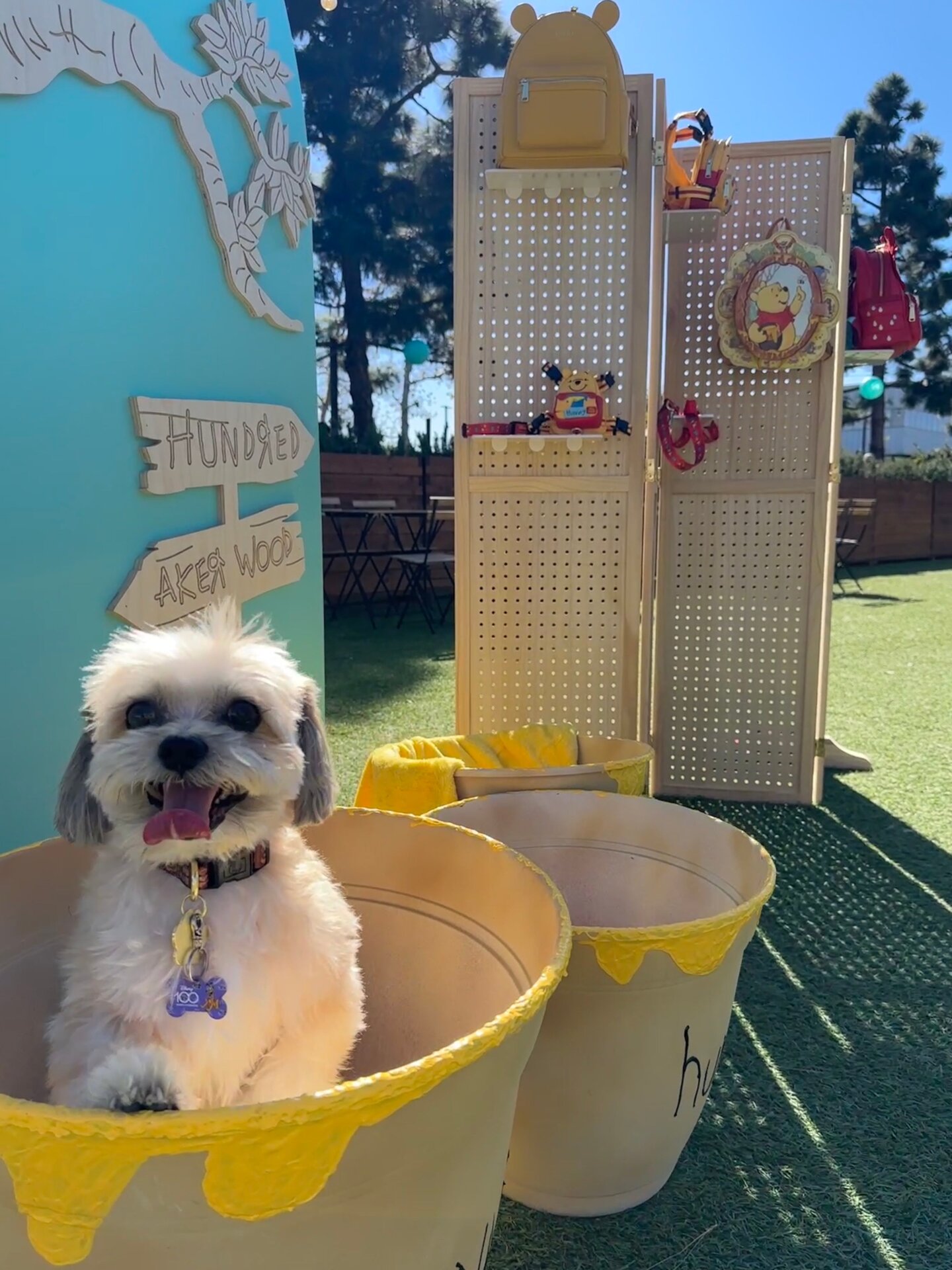 Photo: Sabina Graves/Gizmodo