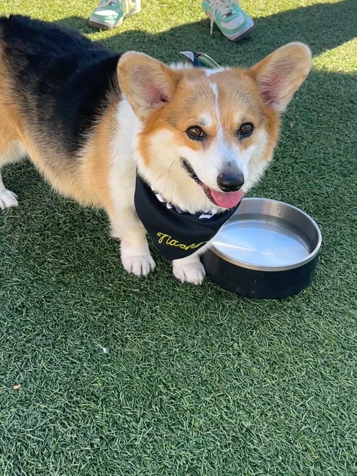 Photo: Sabina Graves/Gizmodo