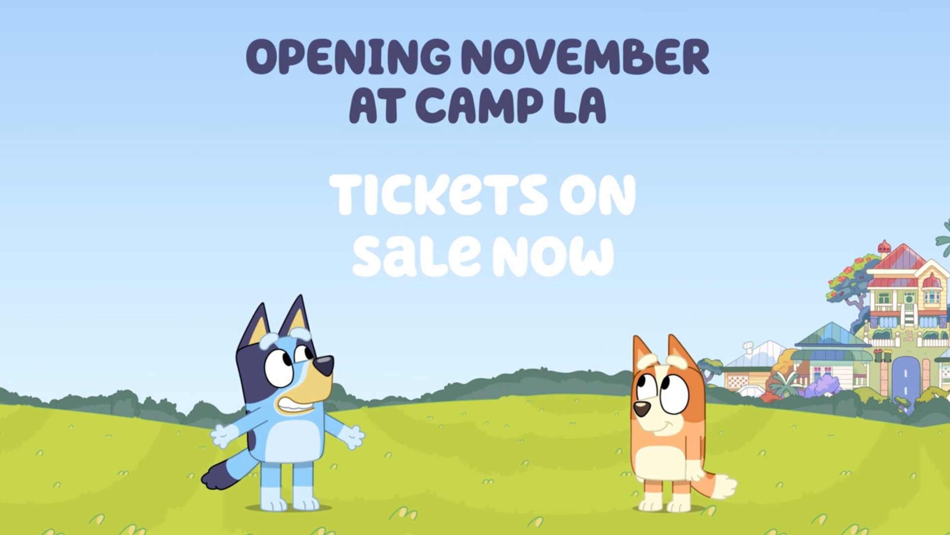 Image: CAMP