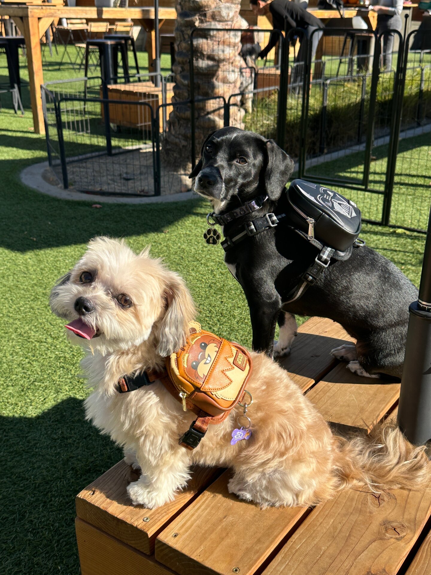 Photo: Sabina Graves/Gizmodo