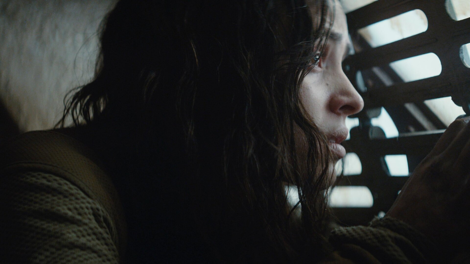 Bix y sus amigos regresarán, pero no por un tiempo más.