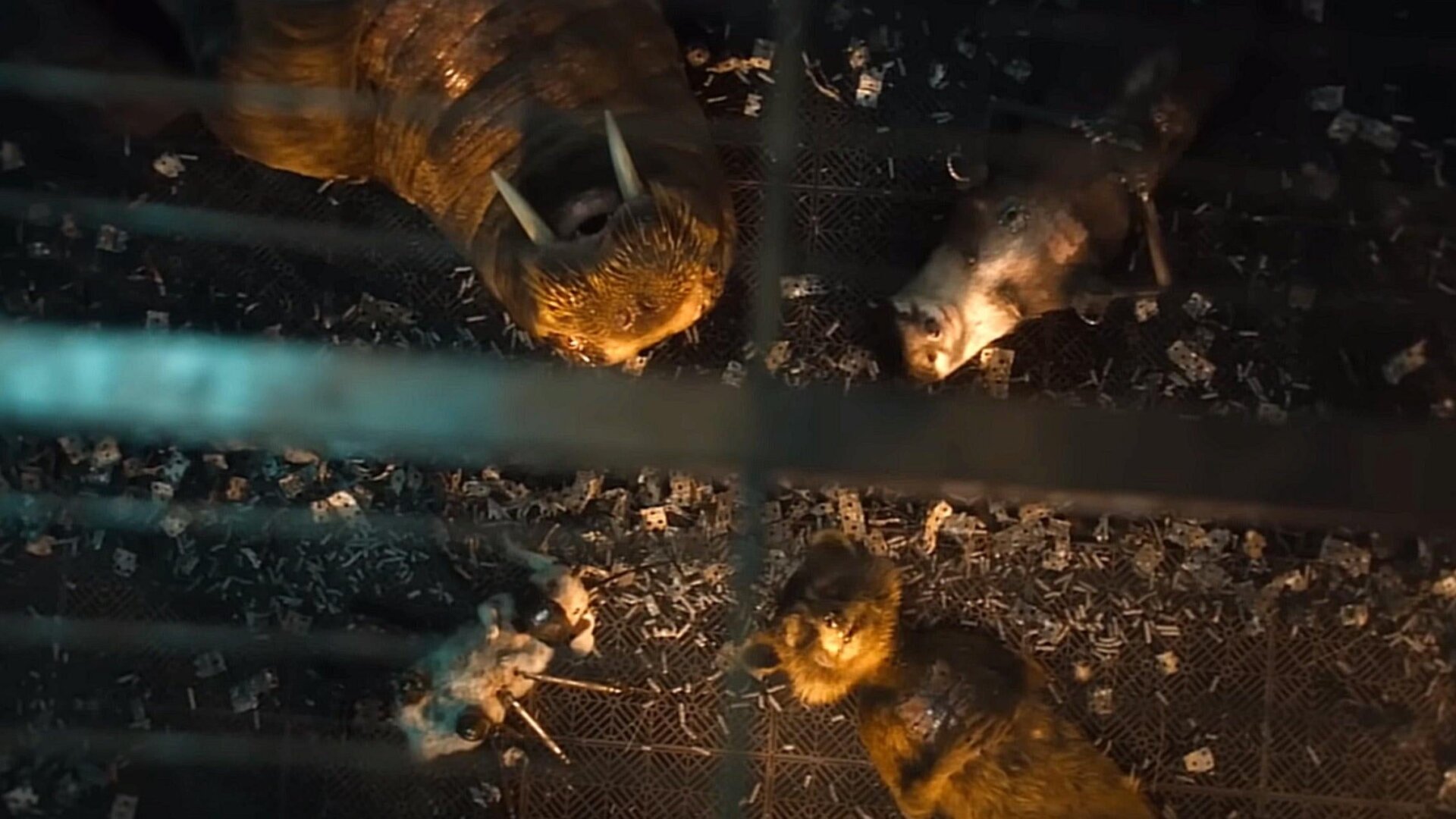 Image: Marvel Studios