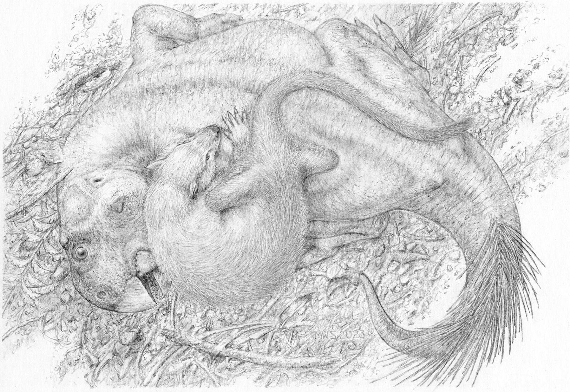 Un Psittacosaurus interactuando con un Repenomamus robustus, un mamífero antiguo.