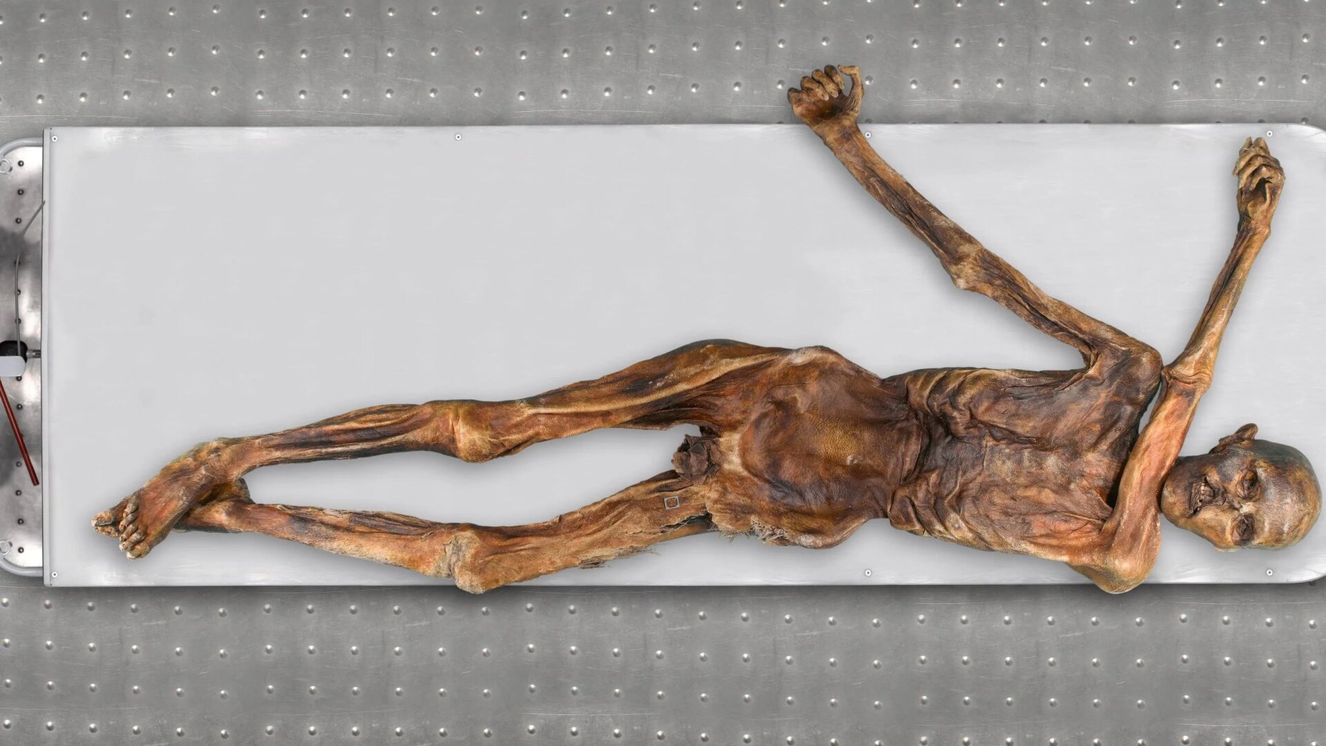 Photo: © South Tyrol Museum of Archaeology/Eurac/Marco Samadelli-Gregor Staschitz