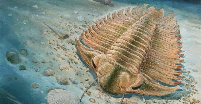 Una ilustración de un trilobite en el fondo del océano.