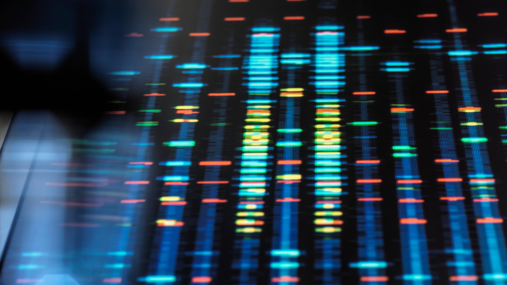 Un perfil de ADN (ácido desoxirribonucleico) de una muestra humana.