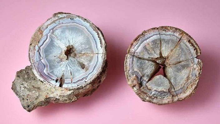 Un huevo de dinosaurio agatizado.