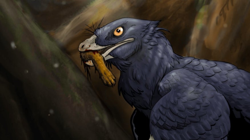 Una ilustración paleoarte de Microraptor comiendo el pie de un mamífero.