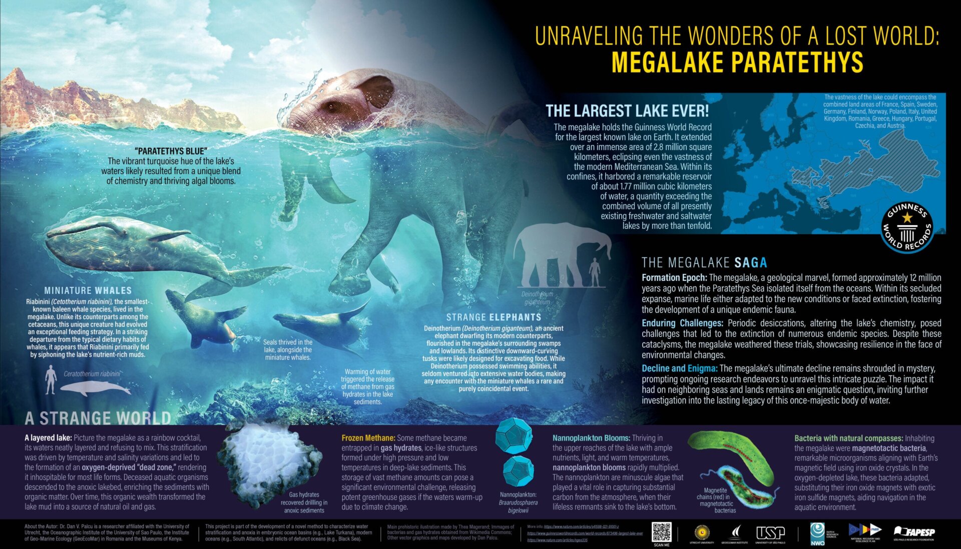 Un gráfico que muestra los animales y la química en funcionamiento en el Paratetis.