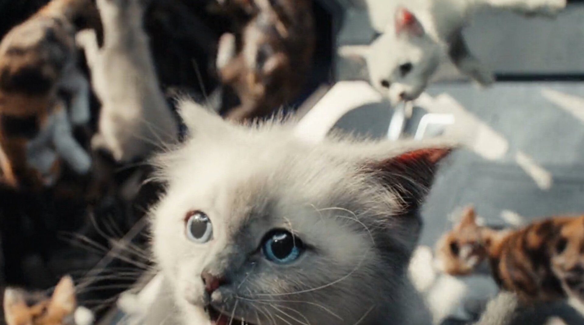 Image: Marvel Studios