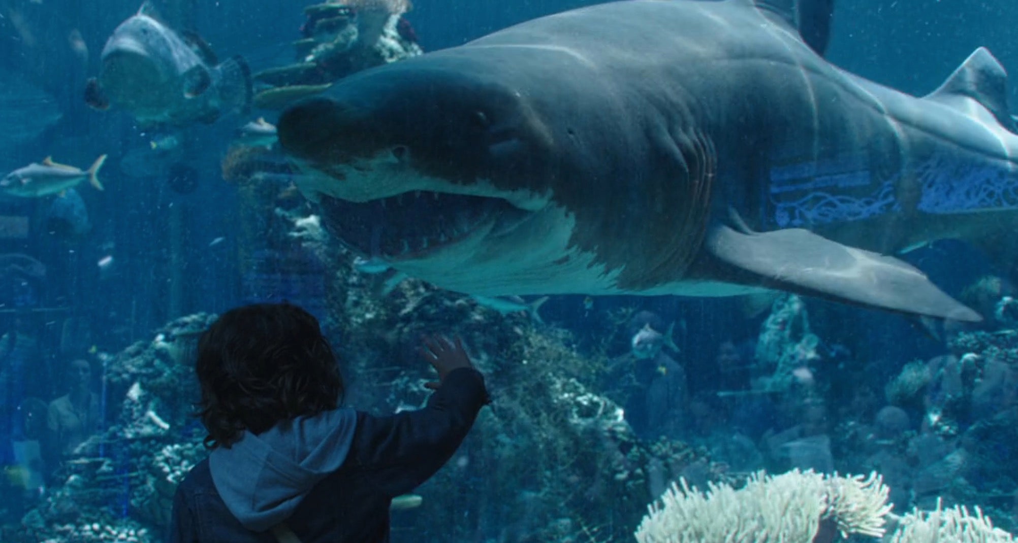 Screenshot: Warner Bros.