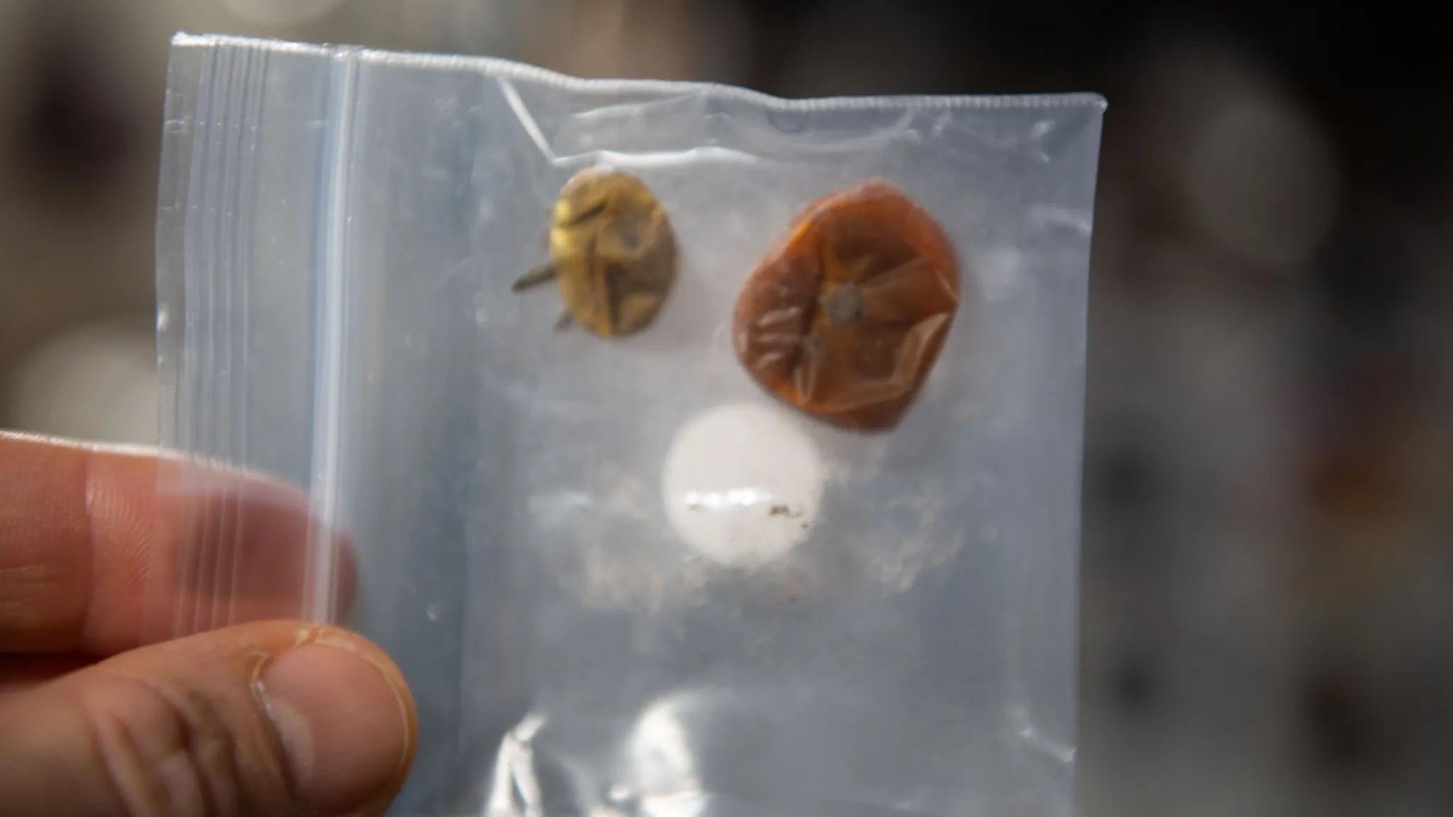Los tomates perdidos fueron recuperados recientemente después de un año de estar desaparecidos.