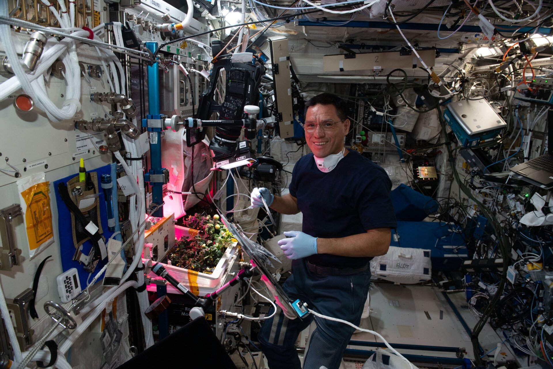 El astronauta de la NASA Frank Rubio atendiendo sus cultivos en la ISS.