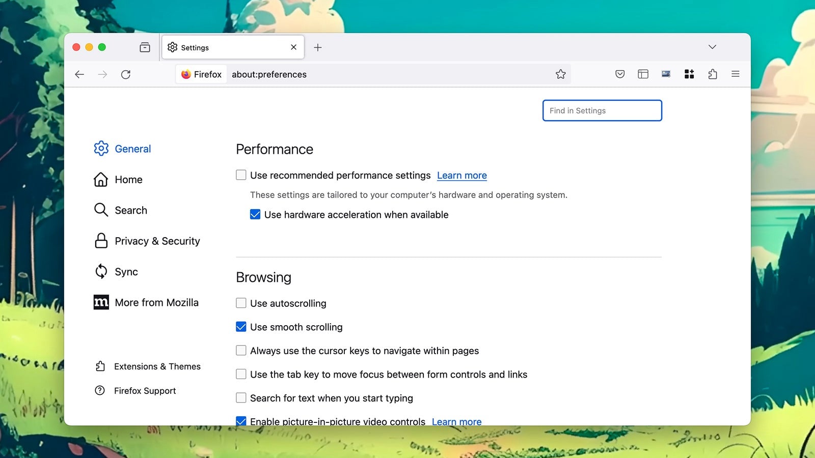Firefox puede elegir la mejor configuración para su sistema.