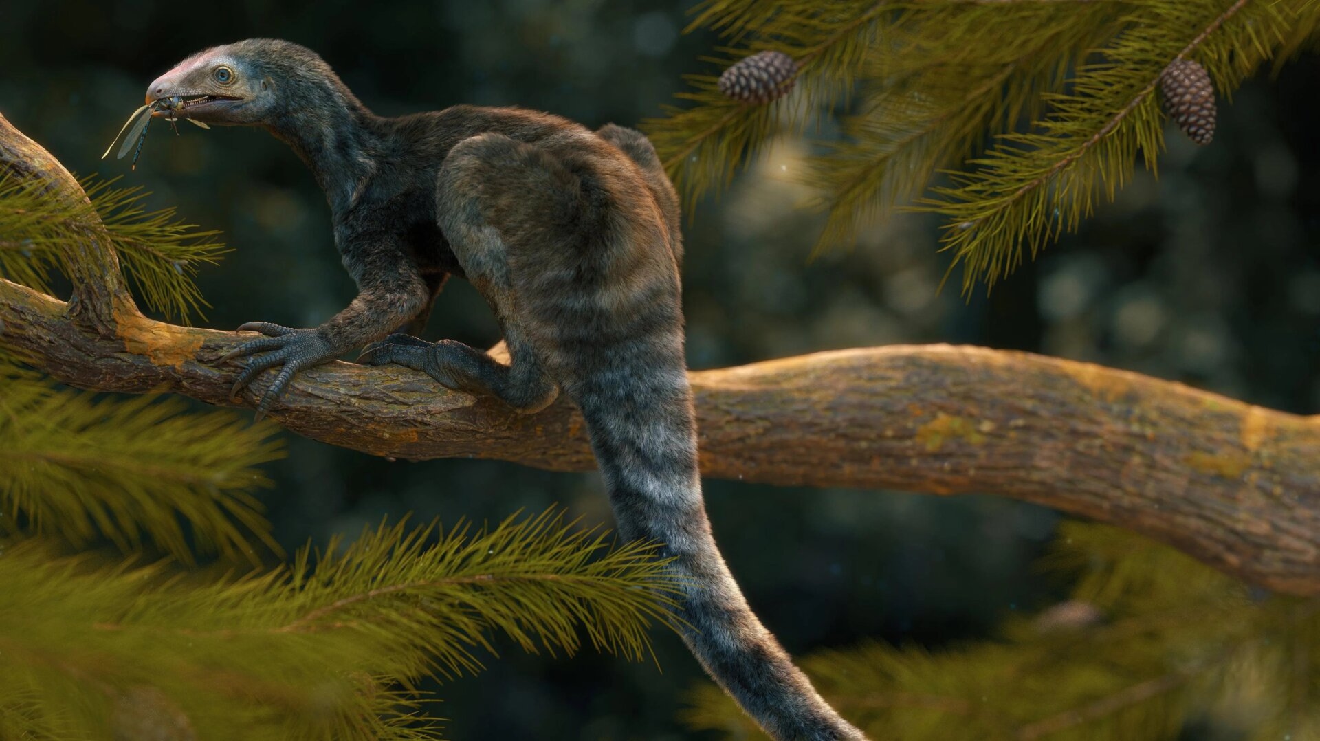 Una reconstrucción paleoarte de Venetoraptor gassenae.