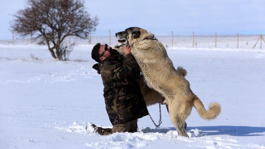 Photo: Serhat Zafer/Anadolu Agency
