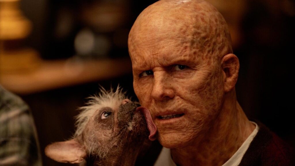 Image: X/Ryan Reynolds