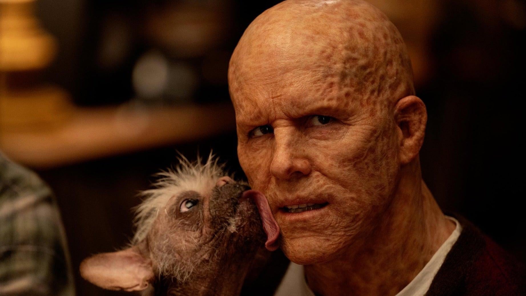 Una imagen aprobada de Ryan Reynolds como Deadpool (con Dogpool) en Deadpool 3.
