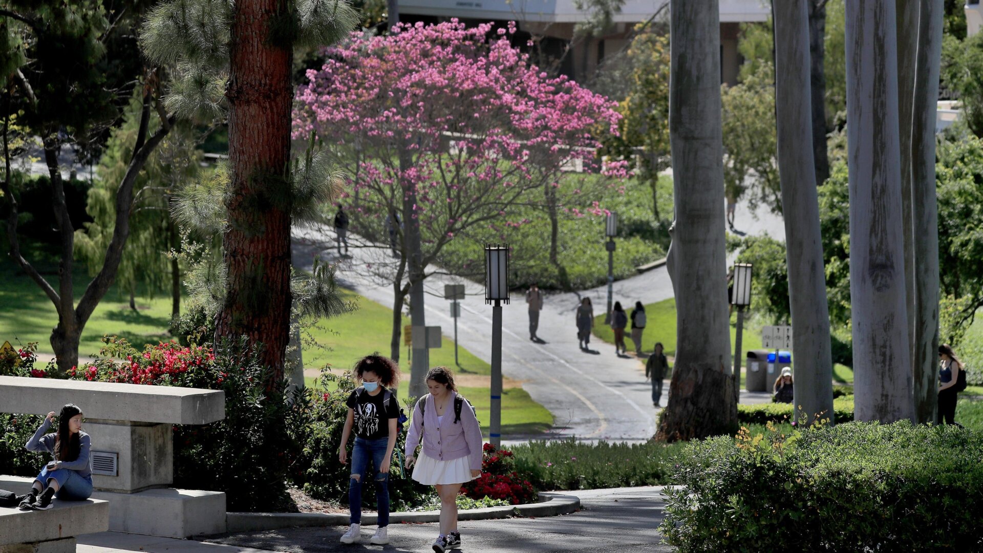 Photo: Allen J. Schaben / Los Angeles Times