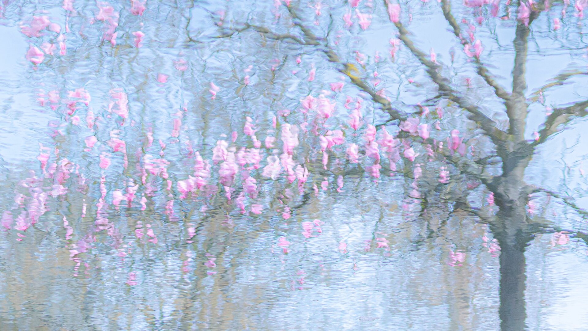 Photo: Ria Bloemendaal