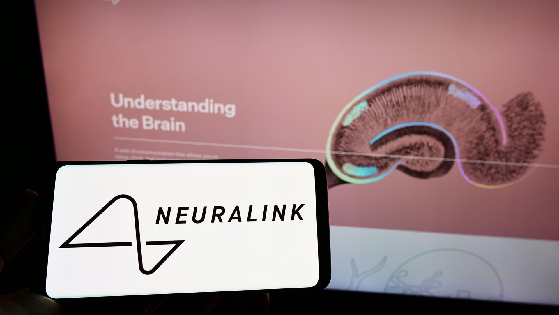 Una persona sosteniendo un celular con el logotipo de Neuralink.