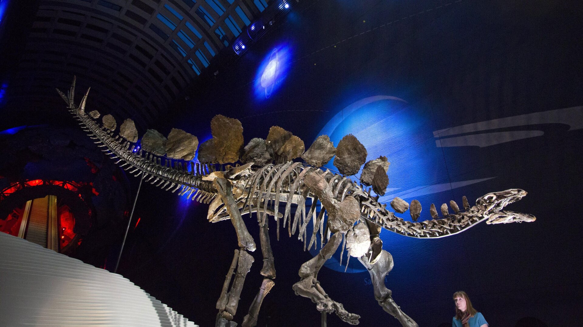 Este es el mejor dinosaurio y lo sabes.