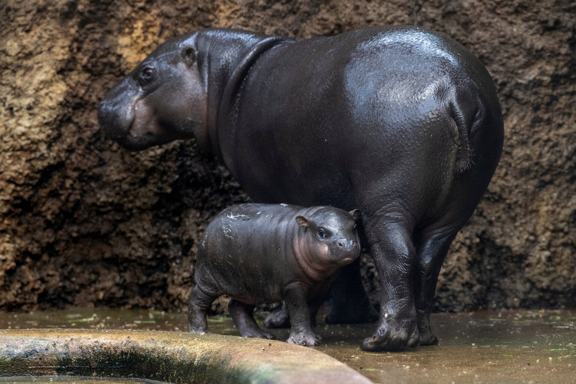 “No vuelvas a hablarme ni a mi hijo nunca más”.