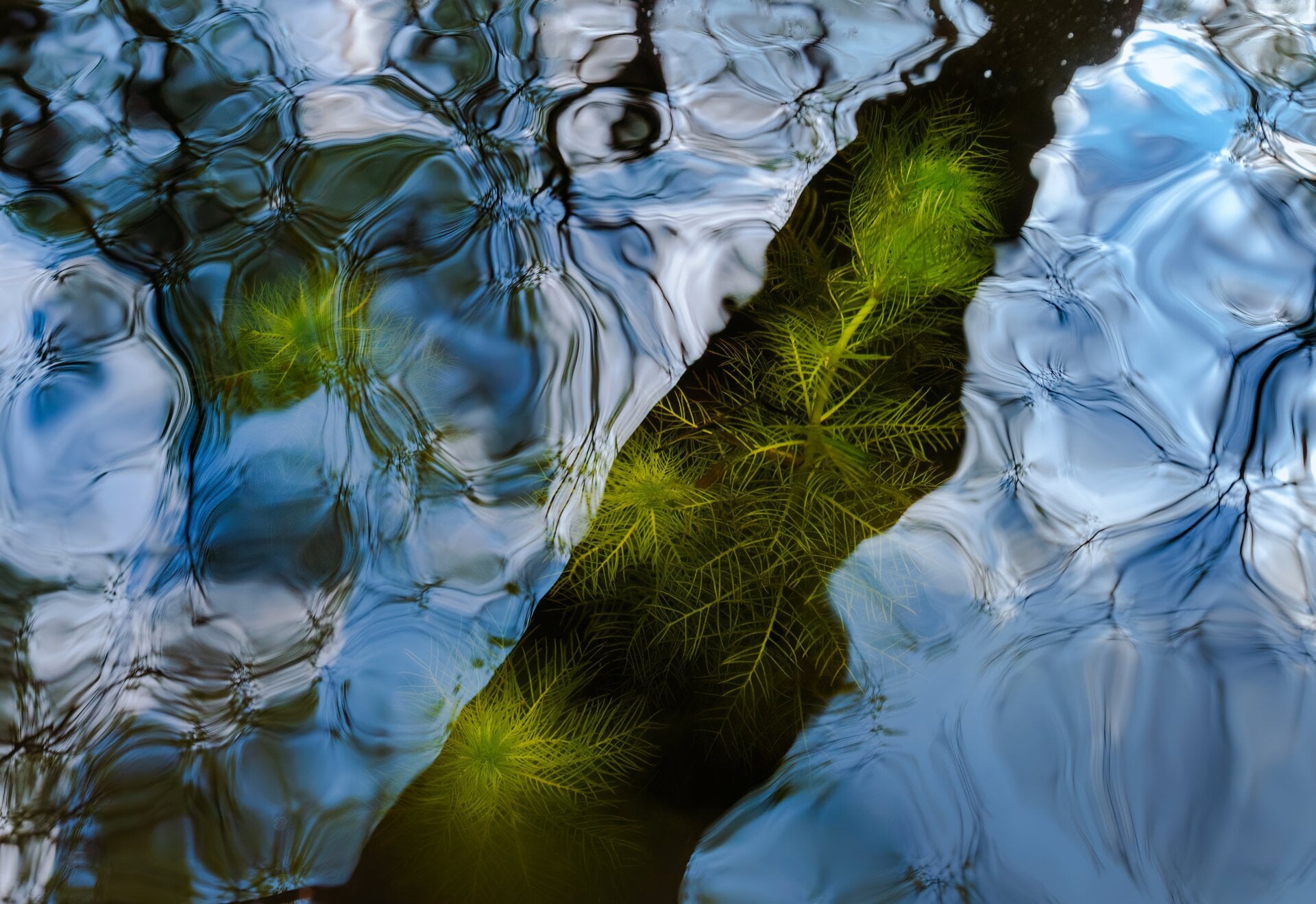 Photo: Csaba Daróczi