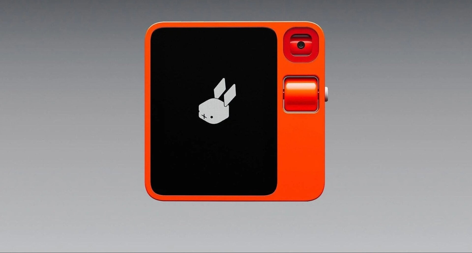 Image: Rabbit