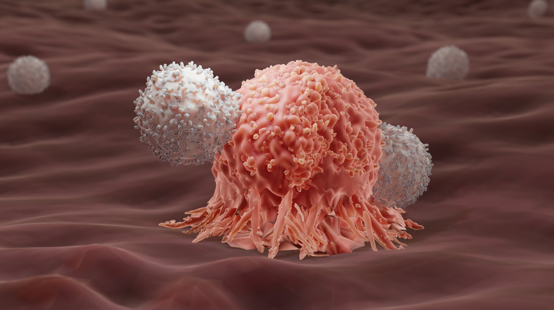 Una ilustración de las células T del receptor de antígeno (CAR)quimérico que atacan una célula cancerosa.