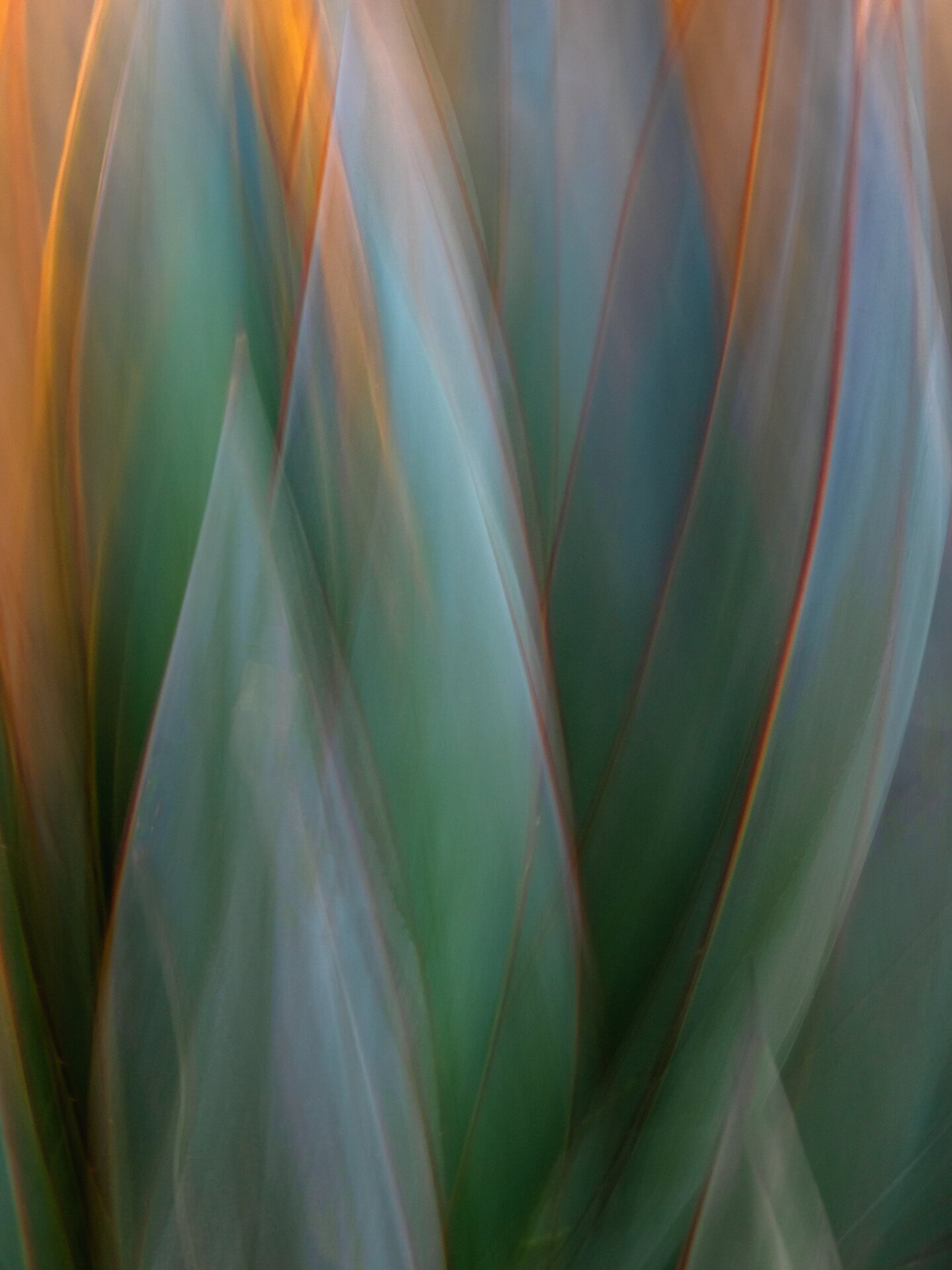 Photo: Beth DeBor