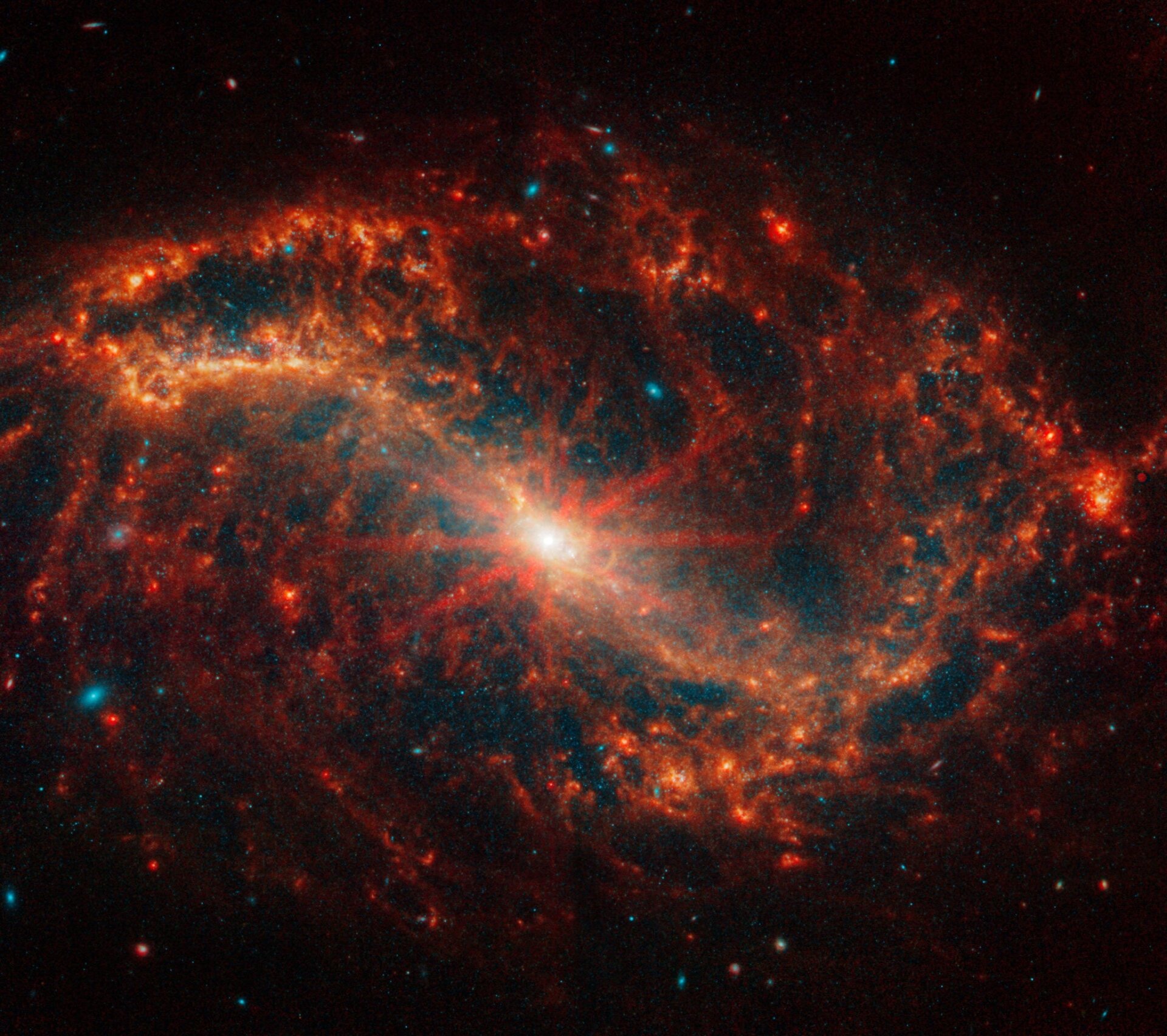 Image: NASA, ESA, CSA, STScI, J. Lee (STScI), T. Williams (Oxford), PHANGS Team