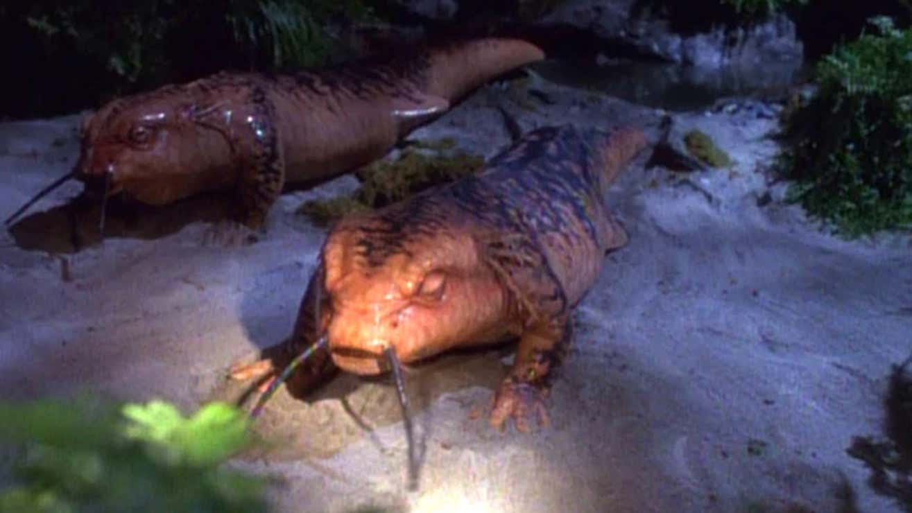 Screenshot: Paramount