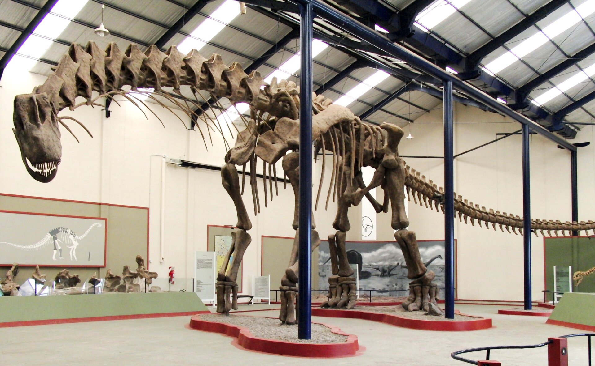 Un esqueleto de Argentinosaurus. ¡Grande!
