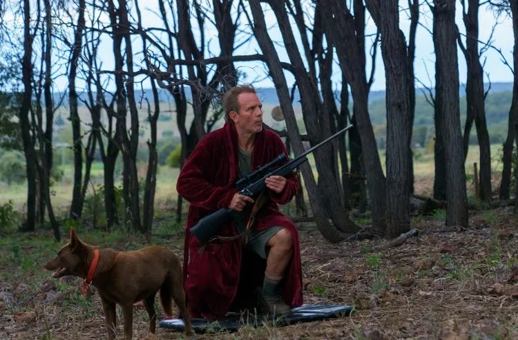 Photo: AMP International