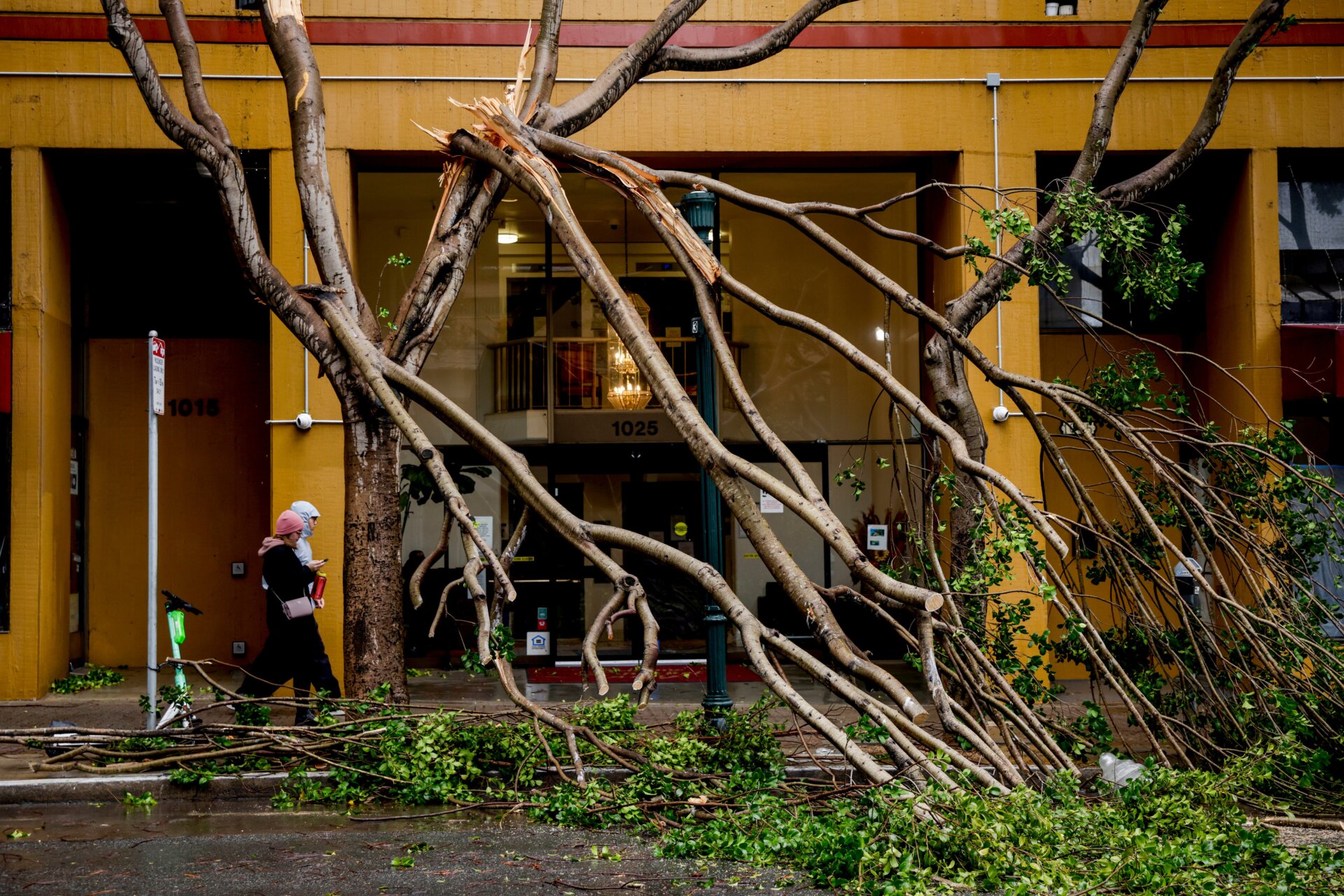 Photo: Brontë Wittpenn/San Francisco Chronicle